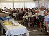 Zandlemig Vlaanderen
